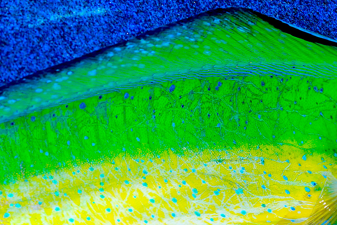 d65682698c5cbf286dbbb464c7869482.jpeg